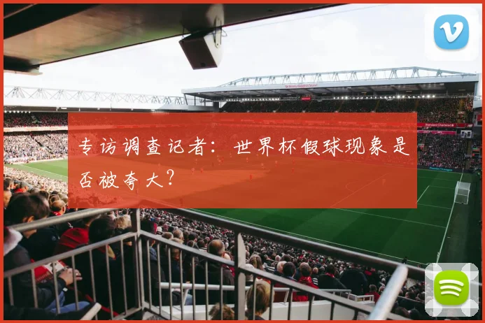 专访调查记者：世界杯假球现象是否被夸大？